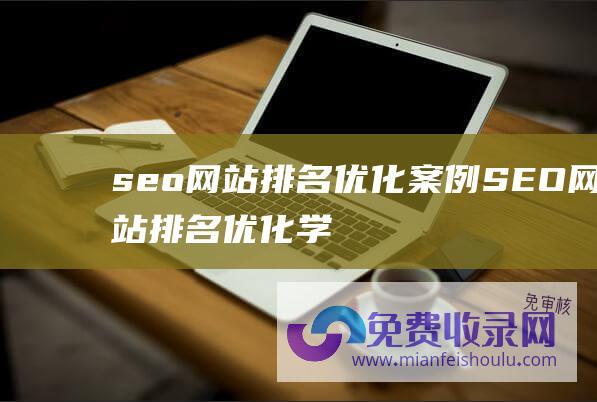 seo网站排名优化案例 (SEO网站排名优化学习技巧)