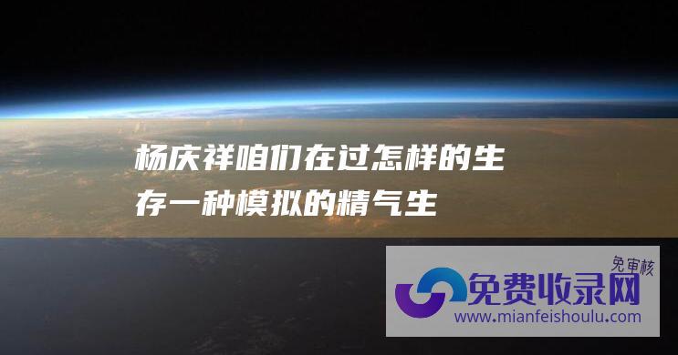 杨庆祥-咱们在过怎样的生存-一种模拟的精气生存