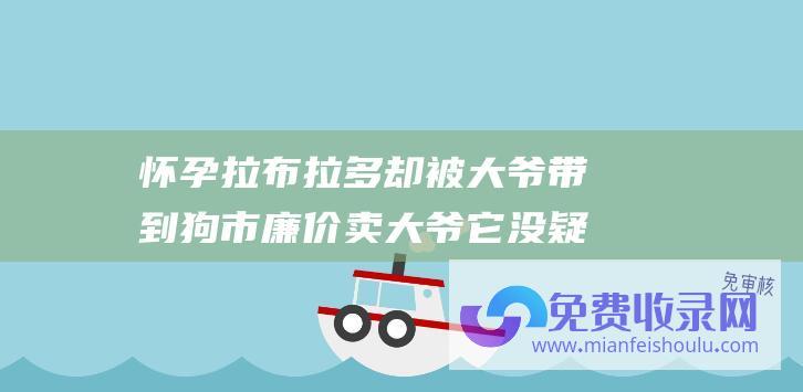 怀孕拉布拉多却被大爷带到狗市廉价卖 大爷 它没疑问