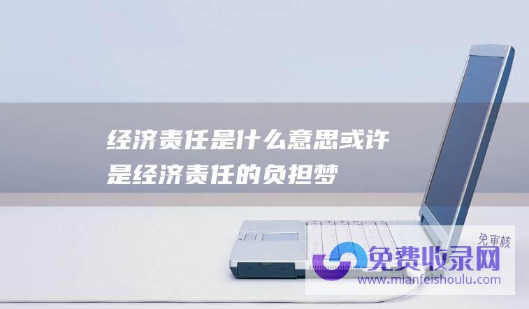 经济责任是什么意思或许是经济责任的负担梦