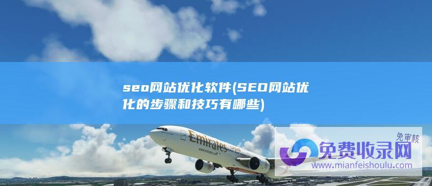 seo网站优化软件 (SEO网站优化的步骤和技巧有哪些)