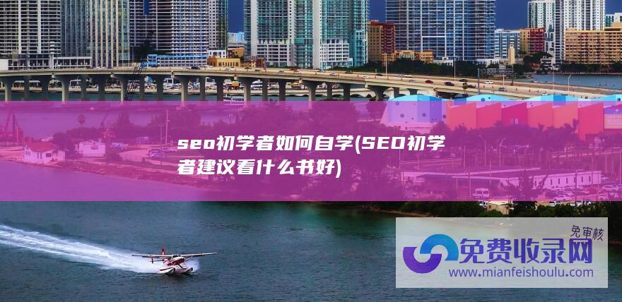 seo初学者如何自学 (SEO初学者建议看什么书好)