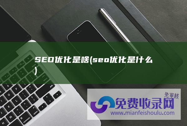 SEO优化是啥 (seo优化是什么)