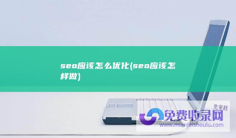 seo应该怎么优化 (seo应该怎样做)