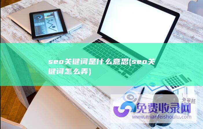 seo关键词是什么意思 (seo关键词怎么弄)