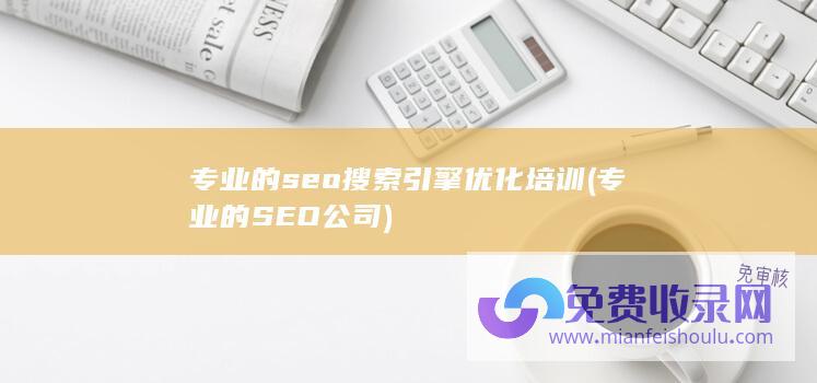 专业的SEO公司