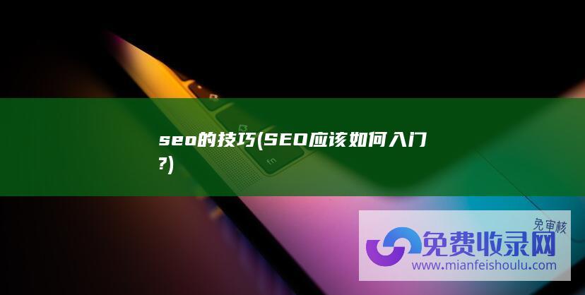 seo的技巧 (SEO应该如何入门?)