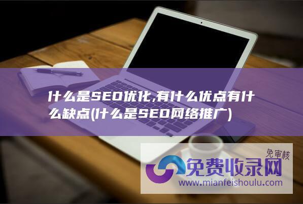 什么是SEO优化,有什么优点有什么缺点 (什么是SEO网络推广)