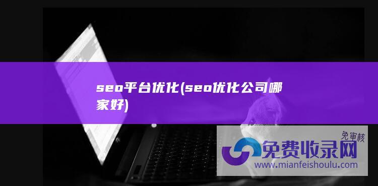 seo平台优化 (seo优化公司哪家好)