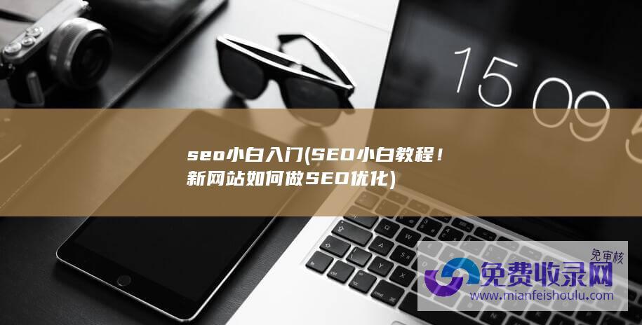 seo小白入门 (SEO小白教程！新网站如何做SEO优化)