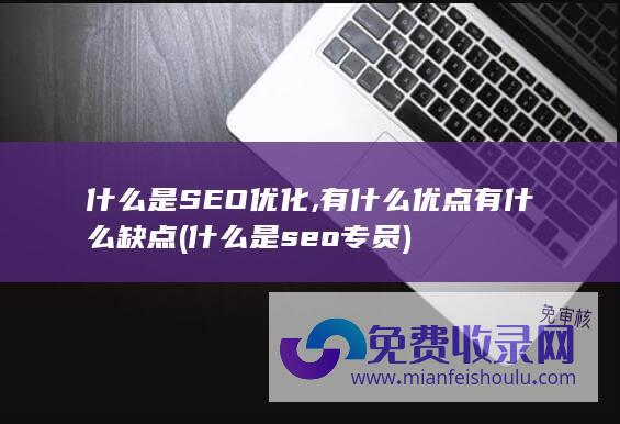 什么是SEO优化,有什么优点有什么缺点 (什么是seo专员)