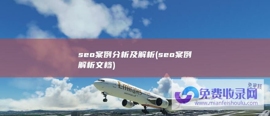 seo案例分析及解析 (seo案例解析文档)