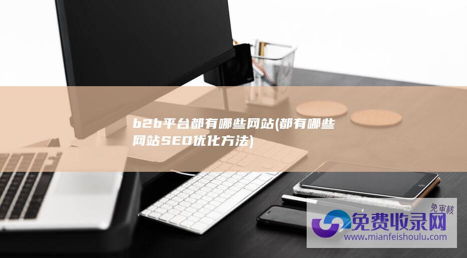 b2b平台都有哪些网站 (都有哪些网站SEO优化方法)