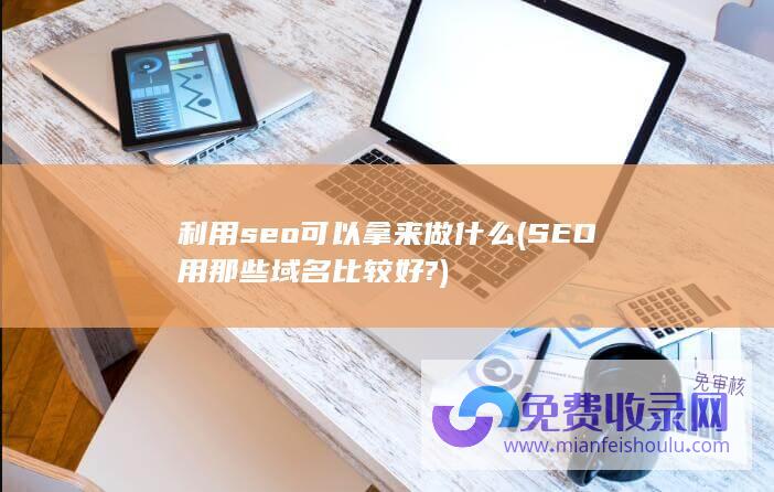 利用seo可以拿来做什么 (SEO用那些域名比较好?)