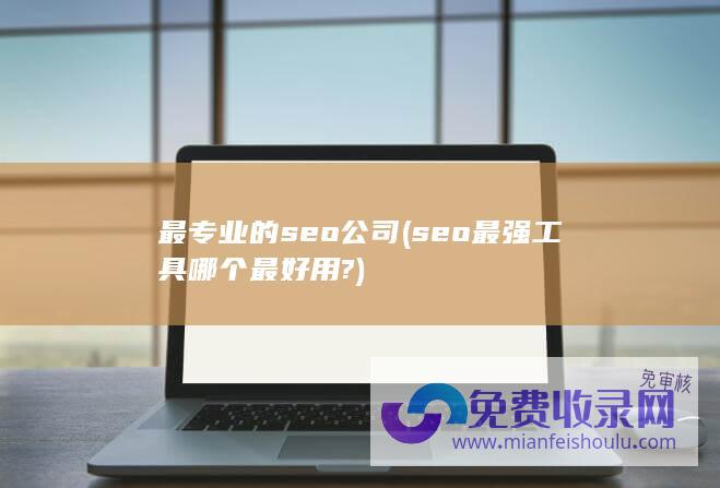 最专业的seo公司 (seo最强工具哪个最好用?)