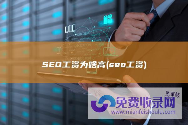 SEO工资为啥高 (seo工资)