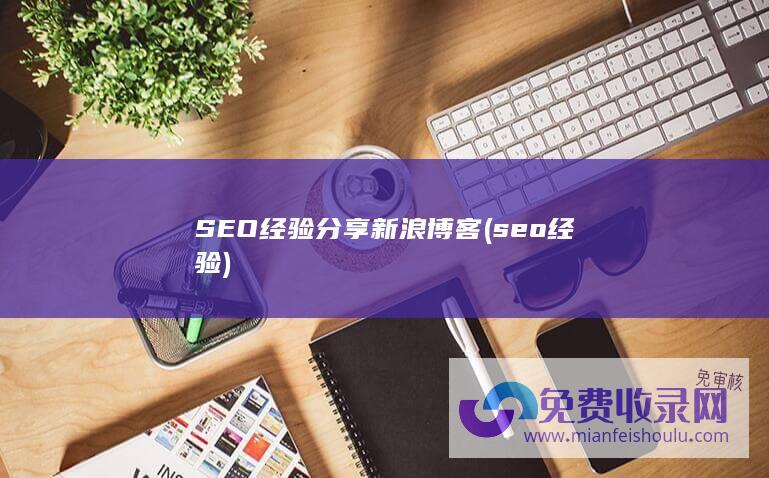 SEO经验分享新浪博客 (seo经验)