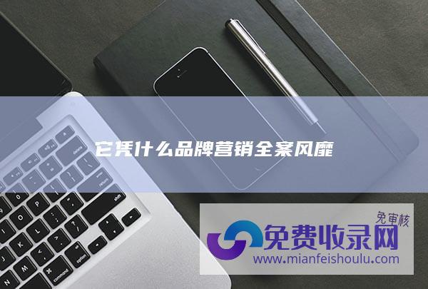 它凭什么 品牌营销全案风靡