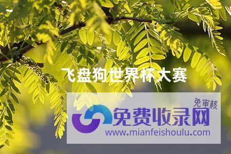 SEO思维百变千姿