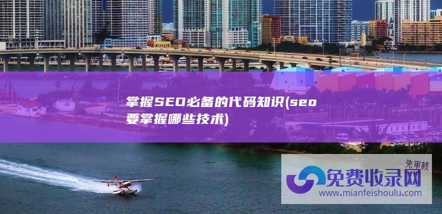 掌握SEO必备的代码知识 (seo要掌握哪些技术)