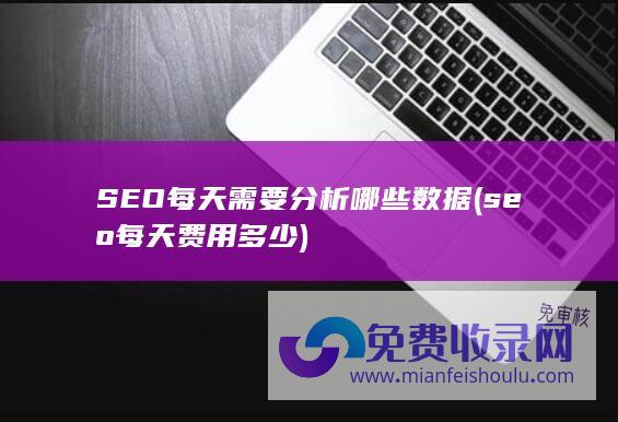 SEO每天需要分析哪些数据 (seo每天费用多少)