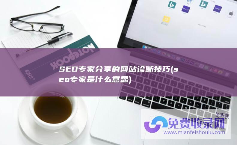 seo专家是什么意思