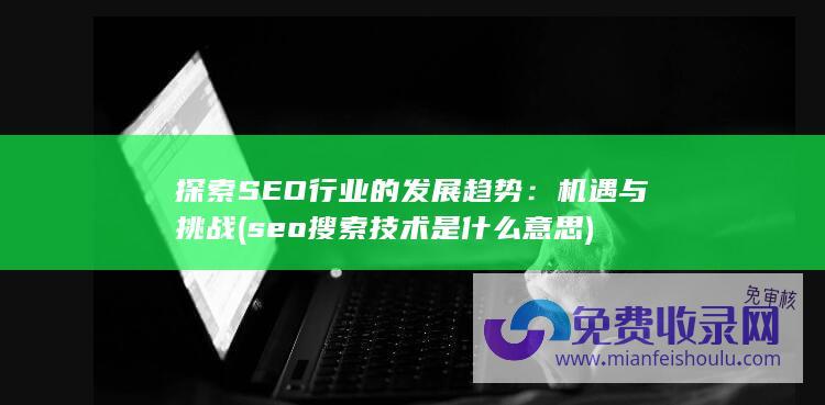 seo搜索技术是什么意思