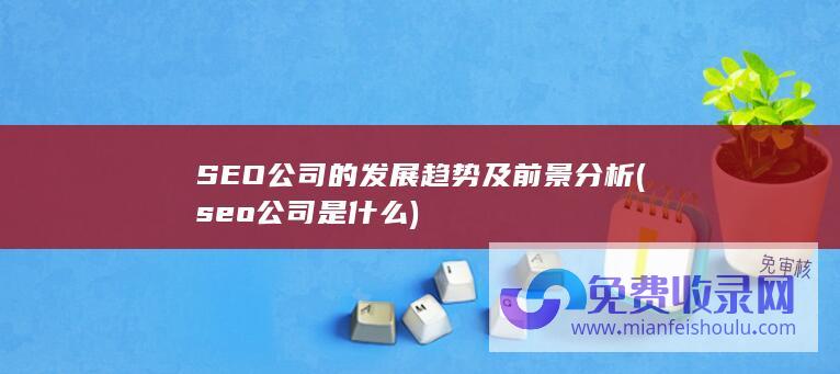 SEO公司的发展趋势及前景分析 (seo公司是什么)