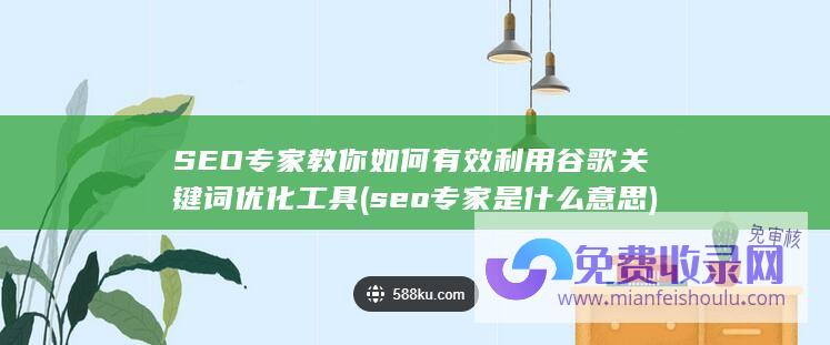 SEO专家教你如何有效利用谷歌关键词优化工具 (seo专家是什么意思)