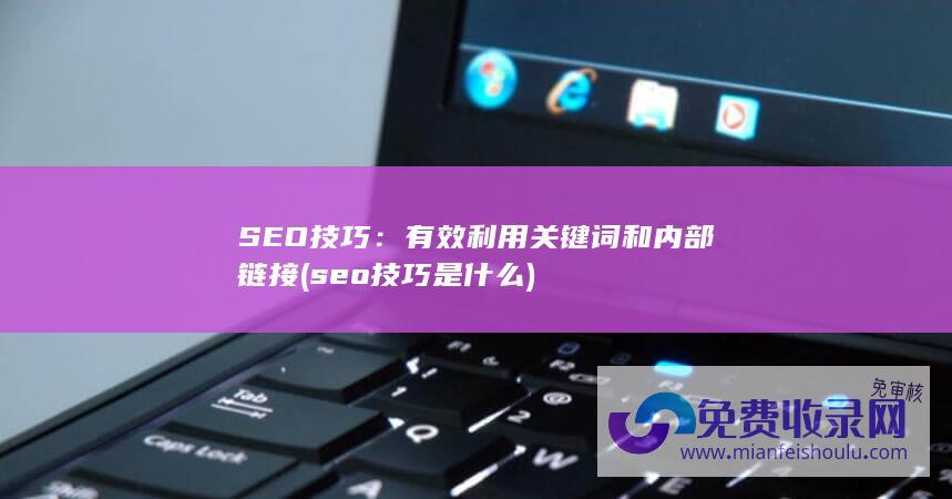 SEO技巧：有效利用关键词和内部链接 (seo技巧是什么)