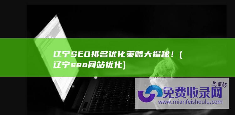 辽宁seo网站优化