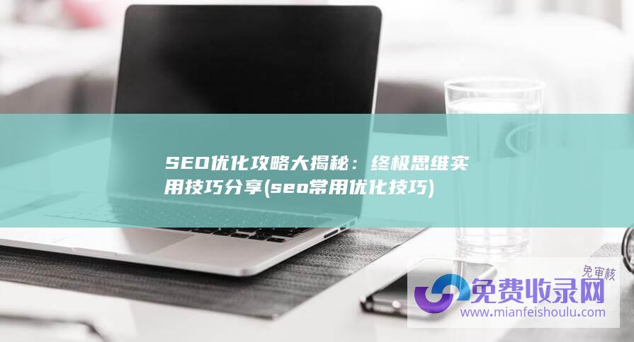 SEO优化攻略大揭秘：终极思维实用技巧分享 (seo常用优化技巧)