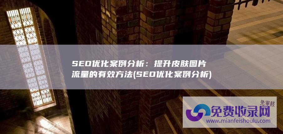 SEO优化案例分析：提升皮肤图片流量的有效方法 (SEO优化案例分析)