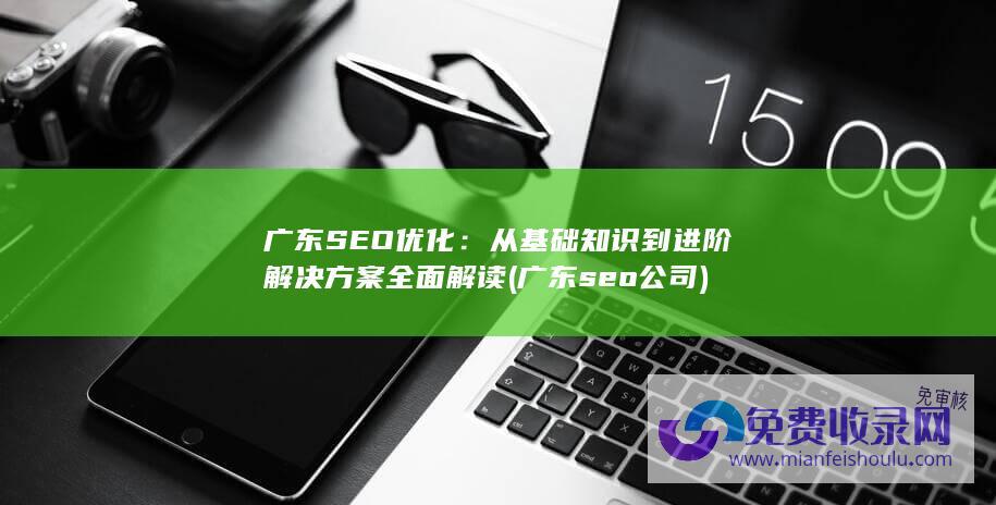 广东SEO优化：从基础知识到进阶解决方案全面解读 (广东seo公司)