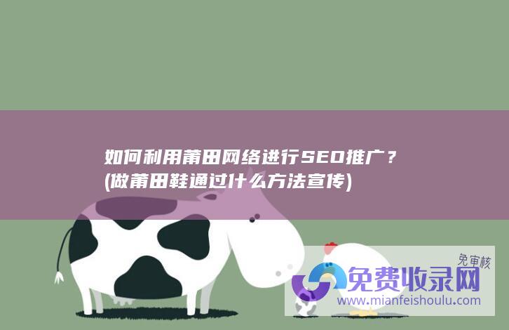 如何利用莆田网络进行SEO推广？ (做莆田鞋通过什么方法宣传)