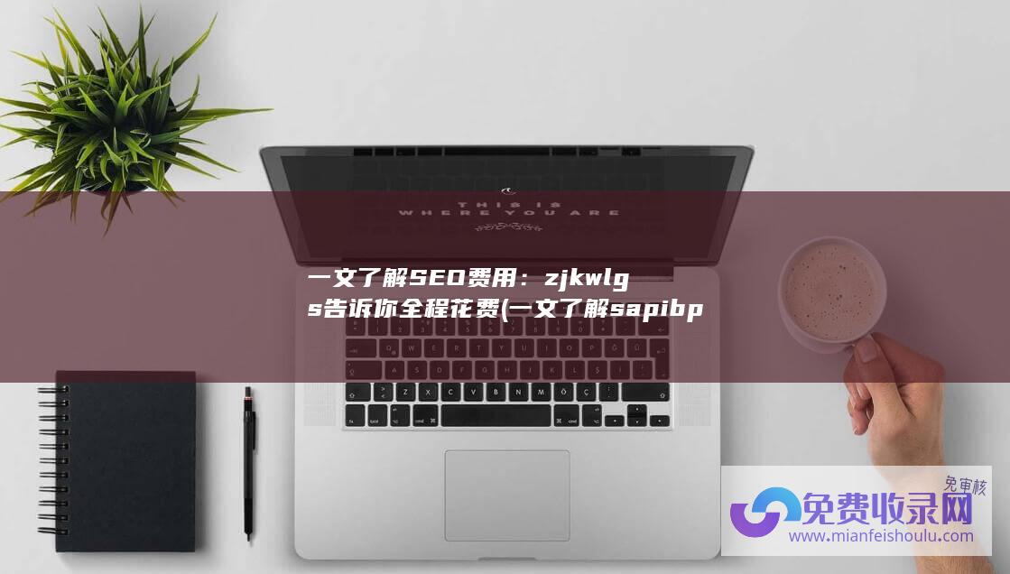 一文了解SEO费用：zjkwlgs告诉你全程花费 (一文了解sap ibp是什么)