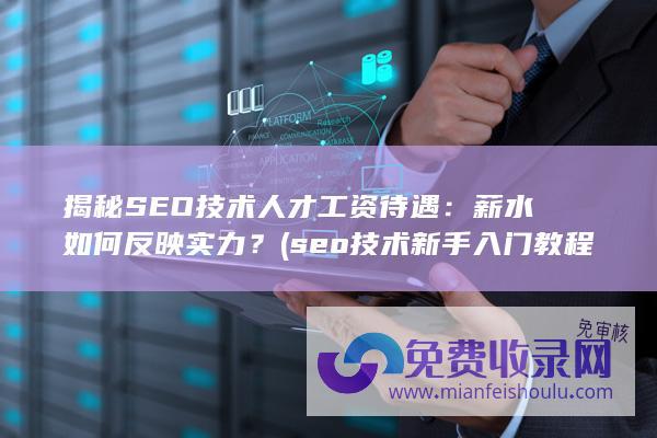 揭秘SEO技术人才工资待遇：薪水如何反映实力？ (seo技术新手入门教程)