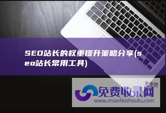 SEO站长的权重提升策略分享 (seo站长常用工具)