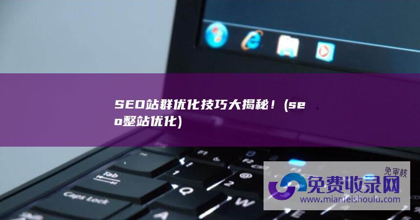 SEO站群优化技巧大揭秘！ (seo 整站优化)