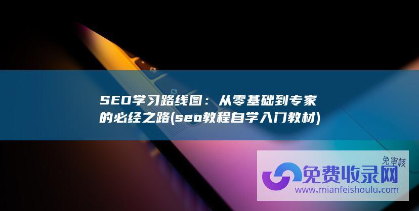 SEO学习路线图：从零基础到专家的必经之路 (seo教程自学入门教材)