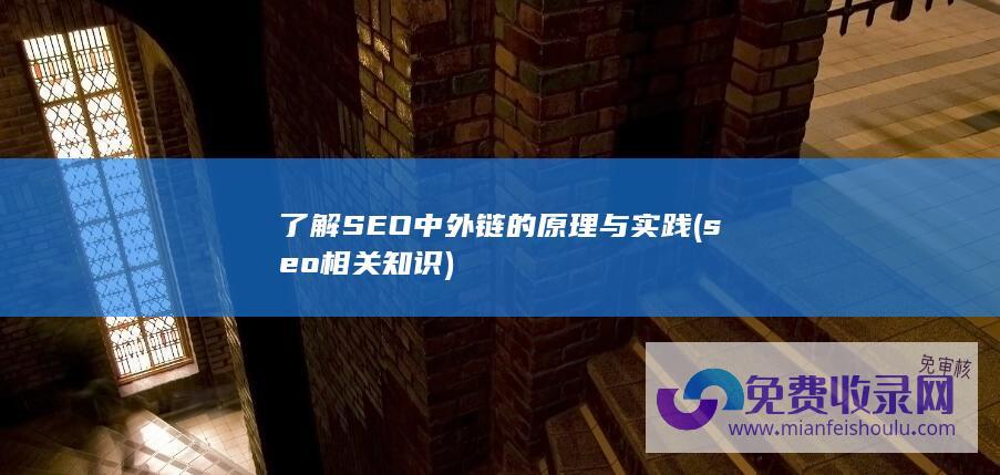 了解SEO中外链的原理与实践 (seo相关知识)