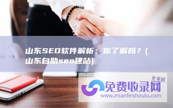 山东SEO软件解析：你了解吗？ (山东自助seo建站)