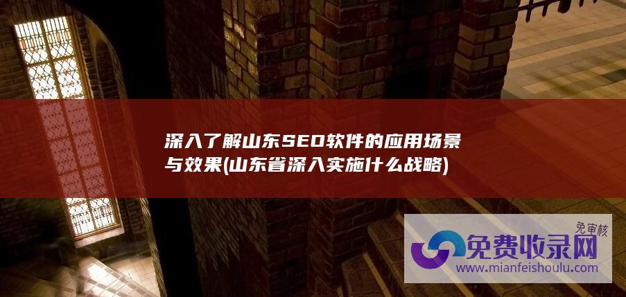 深入了解山东SEO软件的应用场景与效果 (山东省深入实施什么战略)