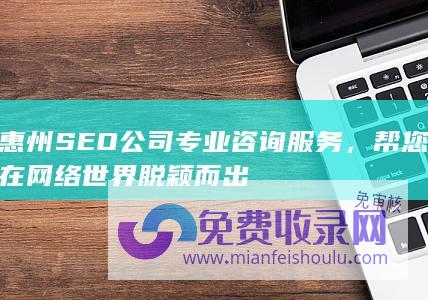 惠州SEO公司专业咨询服务，帮您在网络世界脱颖而出