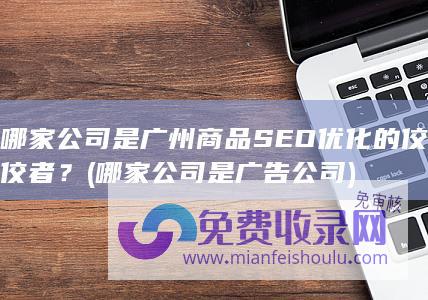 哪家公司是广州商品SEO优化的佼佼者？ (哪家公司是广告公司)