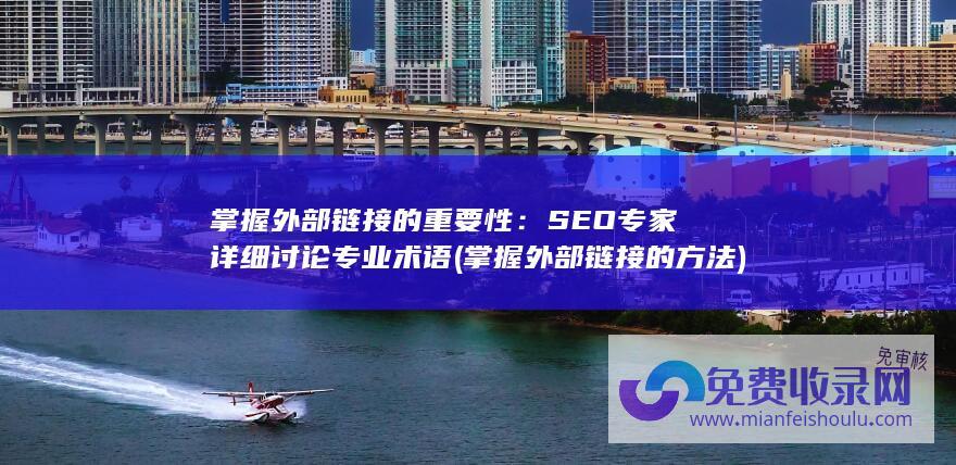 掌握外部链接的重要性：SEO专家详细讨论专业术语 (掌握外部链接的方法)