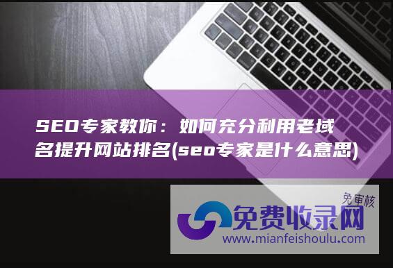 SEO专家教你：如何充分利用老域名提升网站排名 (seo专家是什么意思)