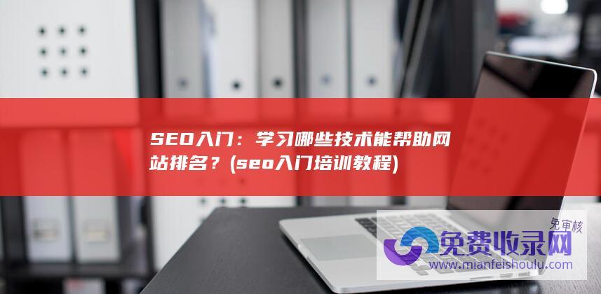 SEO入门：学习哪些技术能帮助网站排名？ (seo入门培训教程)