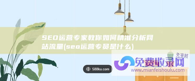 SEO运营专家教你如何精准分析网站流量 (seo运营专员是什么)