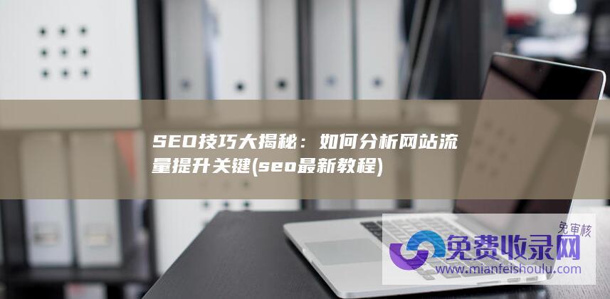 SEO技巧大揭秘：如何分析网站流量提升关键 (seo最新教程)